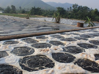 Cung cấp bùn vi sinh toàn quốc 0