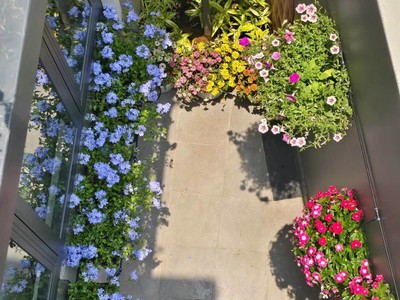 Mini villa giữa trung tâm bình thạnh - 50m  ngang 7m bề thế - full nội thất tinh tế - chỉ 7.x tỷ. 4