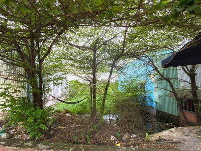 Siêu phẩm 802m2 đất vườn lên được thổ cư mt nguyễn cữu phú 2