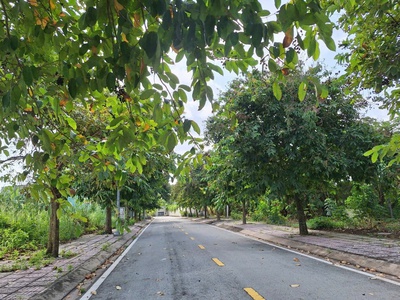 Đất cạnh phú mỹ hưng,12x27m, kdc an ninh, ven sông, chỉ 65 triệu/m 1