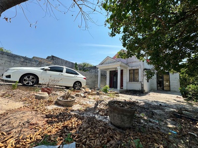 Đất đẹp - mặt tiền - bán gấp lô đất tiềm năng tại bình châu, xuyên mộc, bà rịa vũng tàu 2