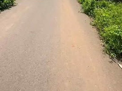 Đất Châu Đức - Bà Rịa Vũng Tàu 1