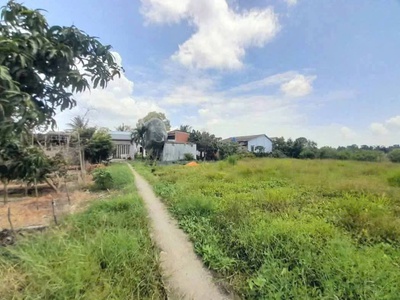 Chủ bán thửa đất lúa 877m9m2  khu vực cho lên thổ 0