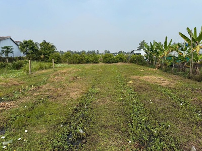 Chủ bán thửa đất lúa 877m9m2  khu vực cho lên thổ 2