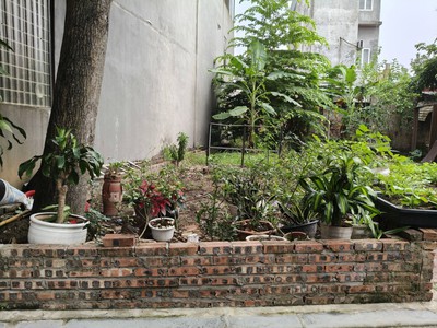 Chủ cần bán đất phan xá 76.6m2, mt4.2m, ô tô, tiện ích, 6.5 tỷ. đông anh. 3