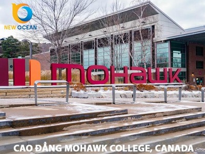 New Ocean - đơn vị cung cấp dịch vụ tư vấn du học Canada uy tín 0