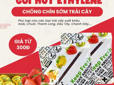 Gói Hút Ethylene   Giảm Hư Hỏng, Giữ Tươi Nông Sản 1
