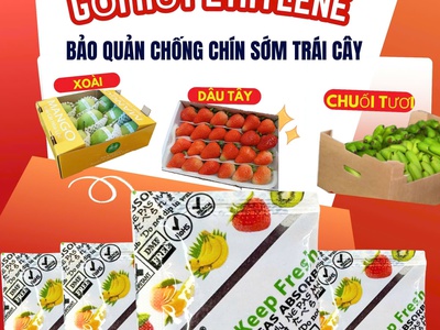 Gói Hút Ethylene   Giảm Hư Hỏng, Giữ Tươi Nông Sản 5