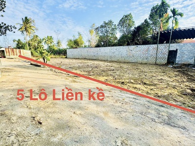 Ra mắt 5 lô liền kề nằm cách trục đường huyết mạch Nam Kỳ Khởi Nghĩa 500m 4