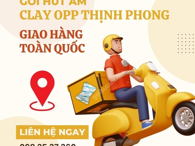Tại sao nên dùng gói hút ẩm Clay OPP Thịnh Phong cho hạt dinh dưỡng 3