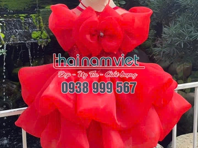 Cho thuê váy múa trẻ em số lượng nhiều 19