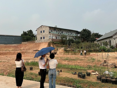 Đất đẹp - khu dịch vụ phú hà - diện tích 208m  full thổ cư - mặt tiền 10m 1