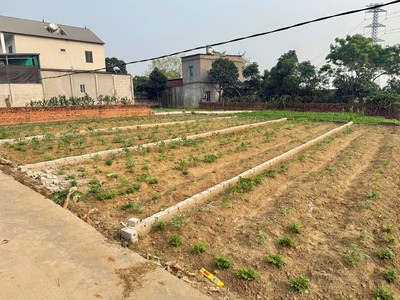 Hiếm - đất đẹp f0 - cần bán mảnh đất nội quan, mai trung nay là hợp thịnh, bắc ninh 2