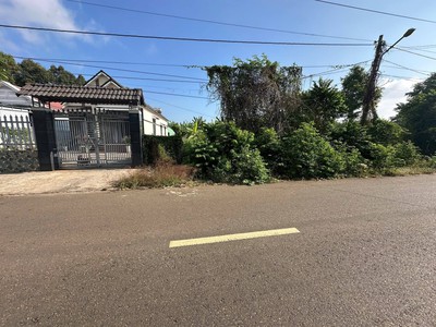 Bán đất biệt thự vườn   mặt tiền đường số 7, phường tam long, tp.hcm 2