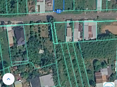 Bán đất biệt thự vườn   mặt tiền đường số 7, phường tam long, tp.hcm 4