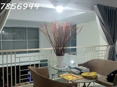 Siêu phẩm đầu tư: shophouse khối đế quận 12   196m    mặt tiền kinh doanh đắc địa 2