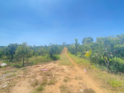 Đất hẻm ql28B, ninh gia, đức trọng cũ, lâm đồng 3,7 héc ta   37.000m2 1