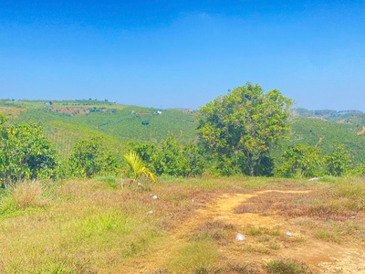 Đất hẻm ql28B, ninh gia, đức trọng cũ, lâm đồng 3,7 héc ta   37.000m2 3