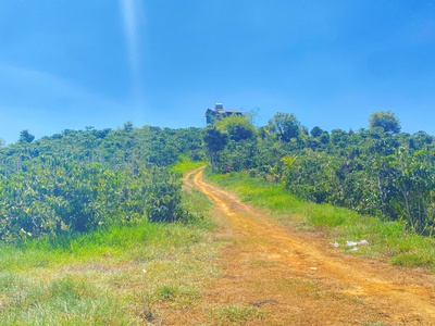 Đất hẻm ql28B, ninh gia, đức trọng cũ, lâm đồng 3,7 héc ta   37.000m2 4