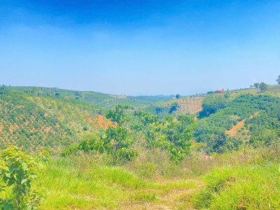 Đất hẻm ql28B, ninh gia, đức trọng cũ, lâm đồng 3,7 héc ta   37.000m2 5