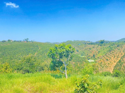 Đất hẻm ql28B, ninh gia, đức trọng cũ, lâm đồng 3,7 héc ta   37.000m2 6