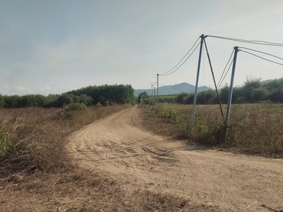 Đất nền tân hòa tỉnh lâm đồng chỉ 4.9 tỷ 0