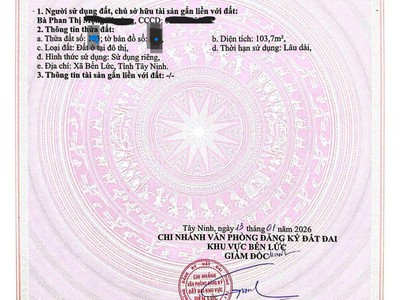 Cơ hội sở hữu nhà mới xây 2 tầng ngay trung tâm Bến Lức 9