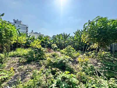 Bán gấp,  đất bưng ông thoàn,  long trường q9, 2100m2,ful tc  chỉ 82 tỷ 4