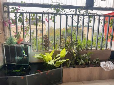 Bán căn góc 76m2, 2Pn tại Thanh Hà- Hà Đông 7