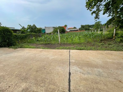 Bán Đất Châu Đức - Bà Rịa Vũng Tàu 3