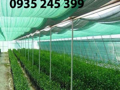 Lưới Lan Che Nắng Thái Lan 2