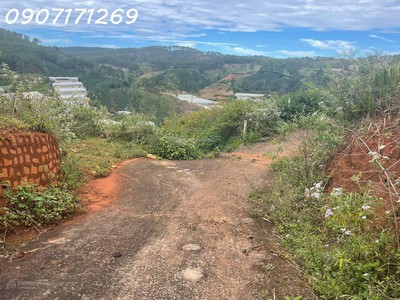 Bán đất manglin tại phường 7 tp đà lạt  nay là phường langbiang  diện tích 210m2 4