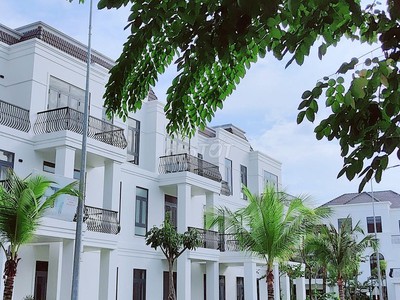 Cơ Hội Sở Hữu Biệt Thự Giá Rẻ Chưa Từng Có, Tặng Toàn Bộ Nội Thất. 0