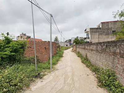 Bán lô đất 1565m2 thổ cư 100 văn cú, an đồng, an dương 4