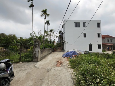 Bán lô đất 1565m2 thổ cư 100 văn cú, an đồng, an dương 3