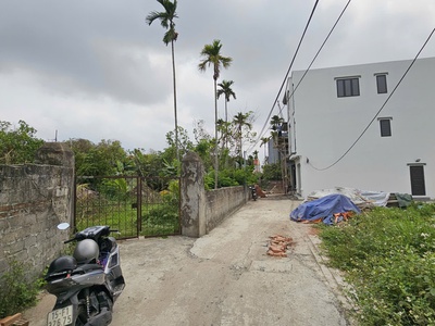 Bán lô đất 1565m2 thổ cư 100 văn cú, an đồng, an dương 2