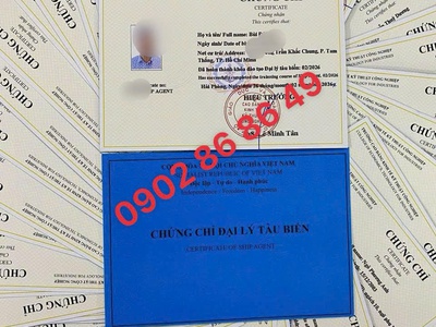 Tuyển sinh lớp Đại lý tàu biển Online - Cấp chứng chỉ chuẩn Cục Hàng hải 1