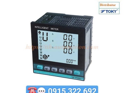 Đồng hồ đo công suất D311A hãng TOKY 0