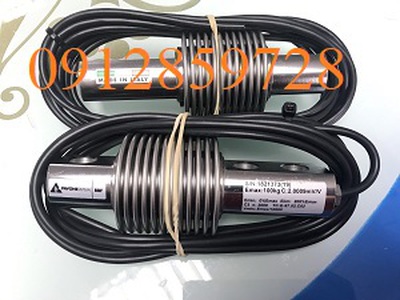 Loadcell -cảm biến trọng lượng  PAVONE BBF-100KG, xuất xứ italy 0