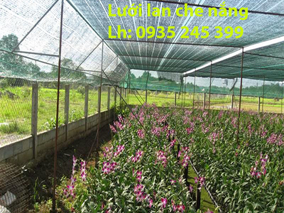 Lưới Lan Che Nắng Gía Rẻ 3
