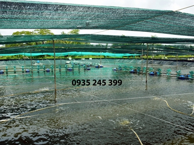 Lưới Lan Che Nắng Gía Rẻ 1