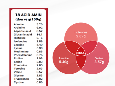 ASN Cordy Protein 80 3
