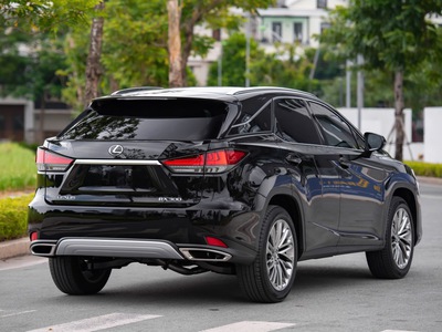 Bán Lexus RX300 2019, màu đen nội thất nâu, xe còn rất mới 3