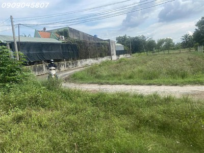 Chính chủ bán gấp 360m2 đất thổ cư 100 đức hòa giá 1,55 tỷ có phí hh cho môi giới 0