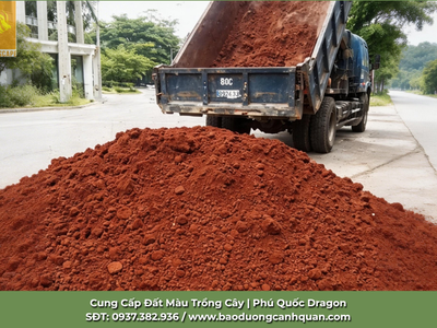 Đất Màu Giá Sỉ Tận Gốc Tại Đồng Nai và TP.HCM 0