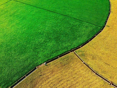  săn ngay lô đất view kênh đồng lúa siêu chill  4