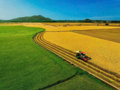  săn ngay lô đất view kênh đồng lúa siêu chill  5