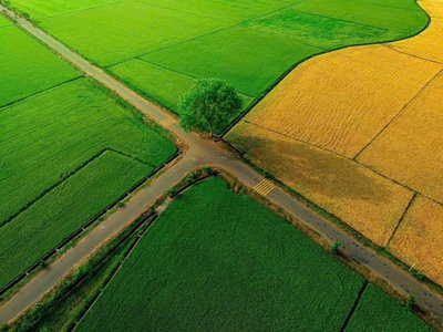  săn ngay lô đất view kênh đồng lúa siêu chill  6