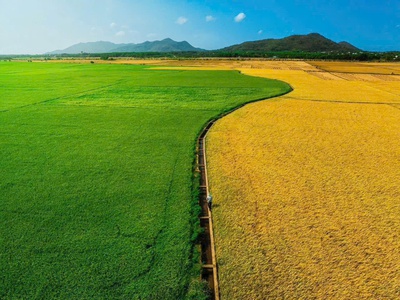  săn ngay lô đất view kênh đồng lúa siêu chill  7