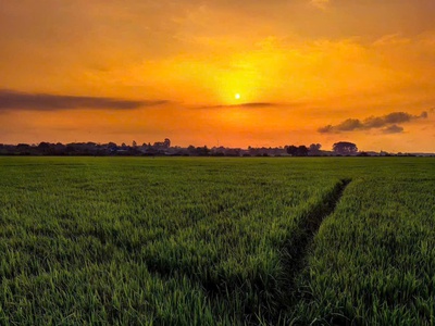  săn ngay lô đất view kênh đồng lúa siêu chill  8